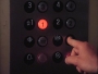 174.jpg